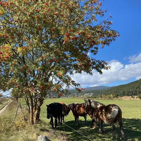 De Montana Chalet Bolquere